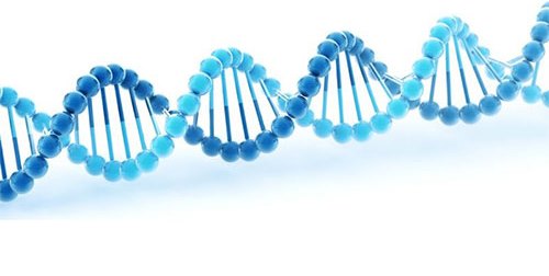 «تعيين هويت» با تست DNA در نيشابور امکان پذير شد