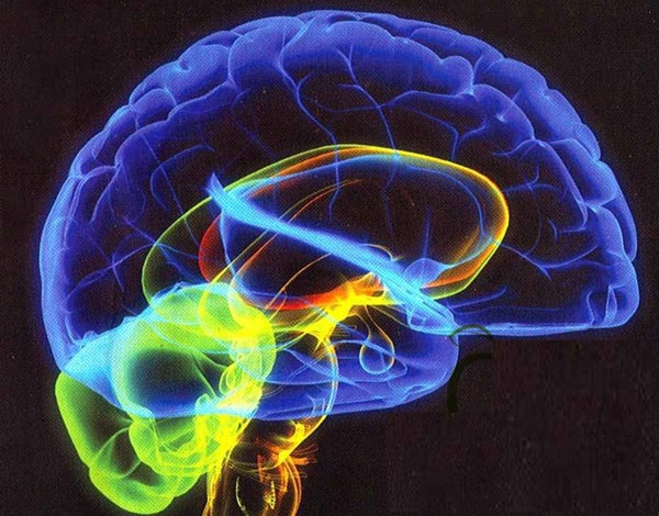 پنج روش افزايش توانايي مغز با تغذيه